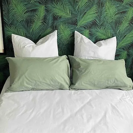 Ancely T2 Lumineux Cosy Toulouse