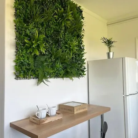 Apartment Ancely T2 Lumineux Cosy *