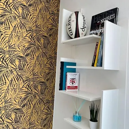 Apartment Ancely T2 Lumineux Cosy Toulouse