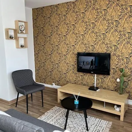 Ancely T2 Lumineux Cosy Apartment *